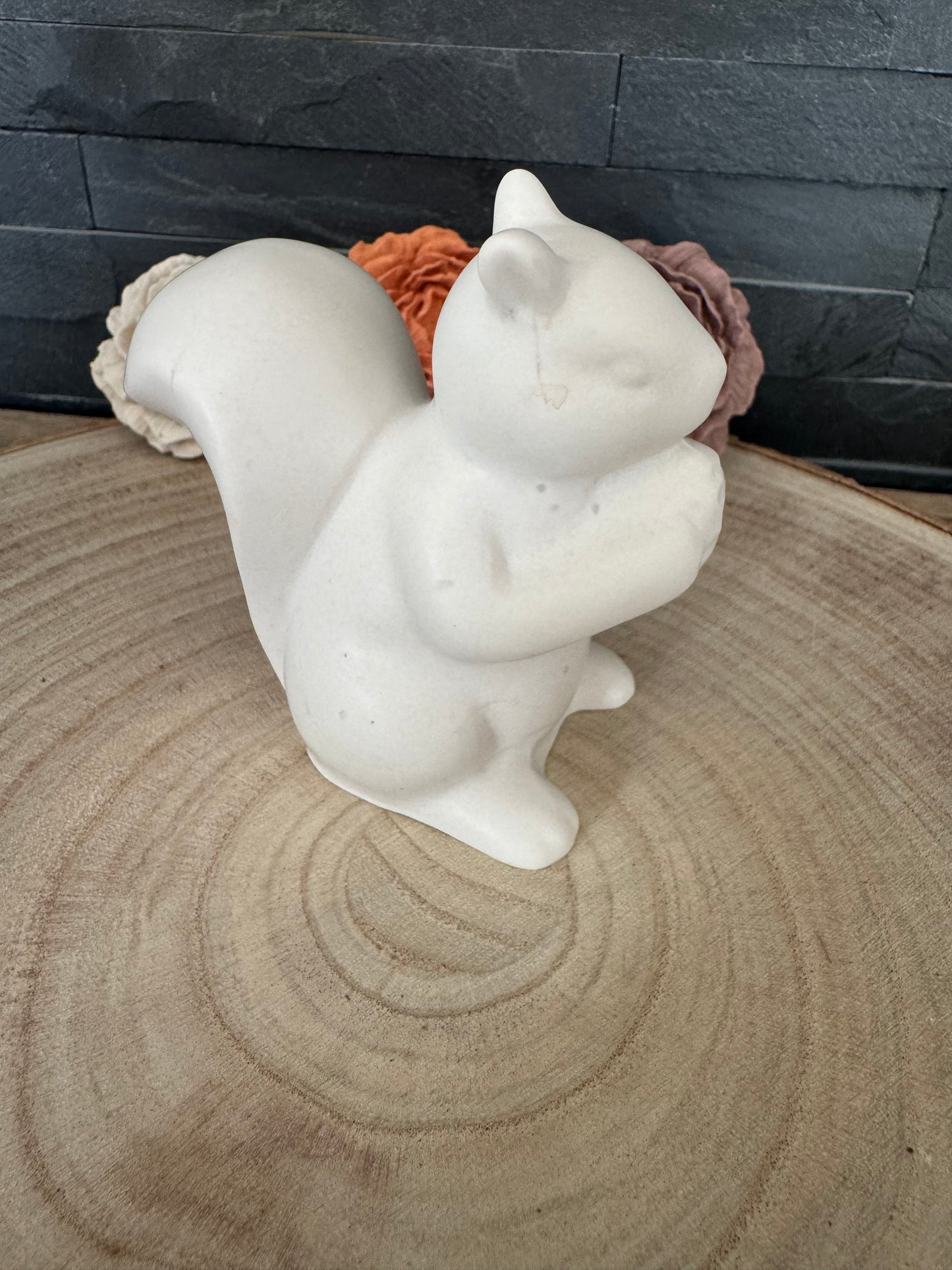 Écureuil (taille moyen)