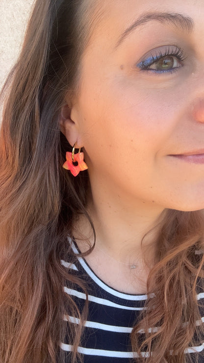 💫 Céleste-Pampilles interchangeables