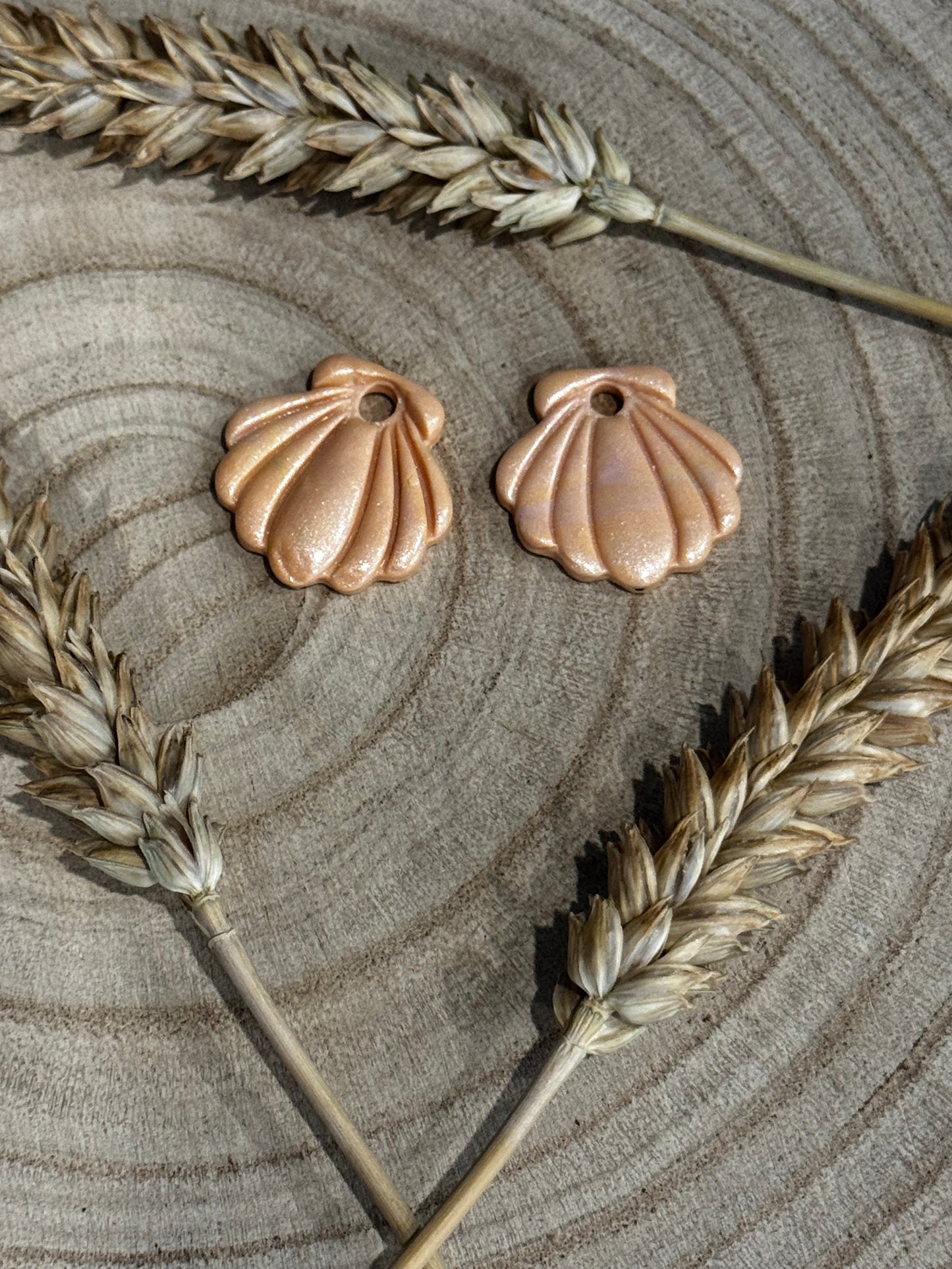 🐚 Marina – Pampilles coquillage