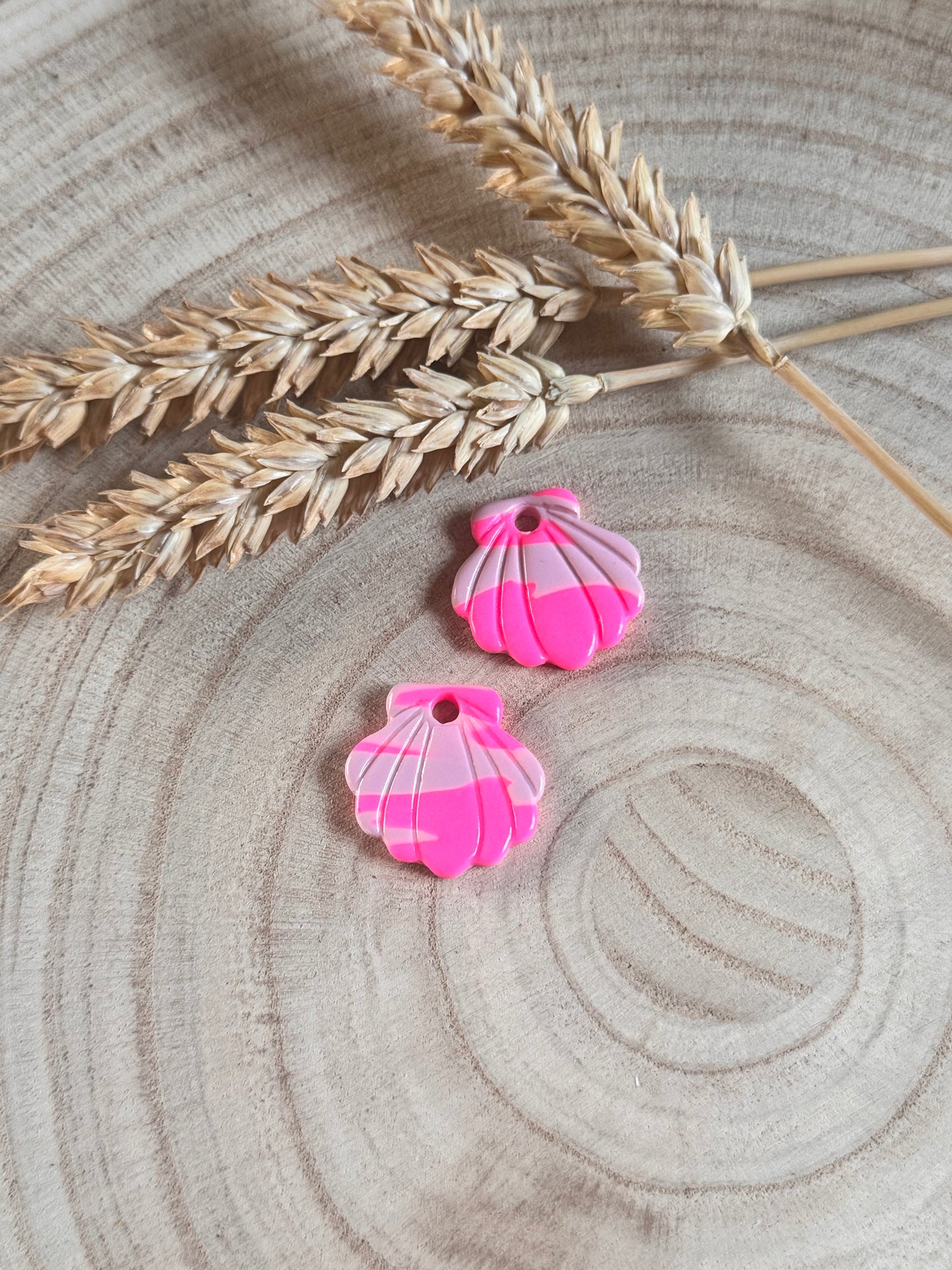 🐚 Marina – Pampilles coquillage