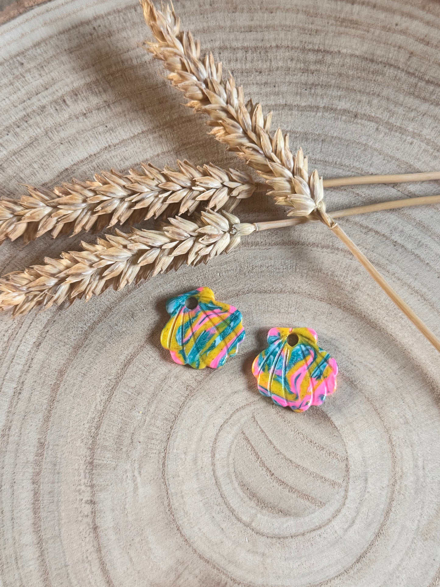 🐚 Marina – Pampilles coquillage
